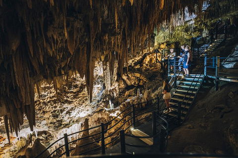 Ngilgi Cave Semi-guided Tour - Accommodation Gold Coast 5