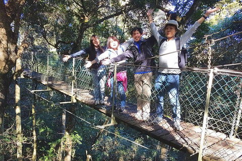Exclusive Private Tour - Design Your Own - Accommodation Gold Coast 5