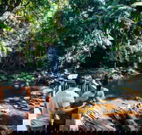 Aquaduck  Your choice of Gold Coast Rainforest Tour - Accommodation Gold Coast