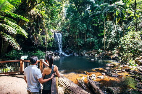 Aquaduck & Your Choice Of Gold Coast Rainforest Tour - Accommodation Gold Coast 0