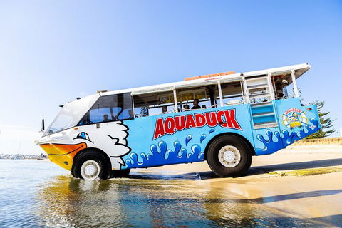 Aquaduck & Your Choice Of Gold Coast Rainforest Tour - Accommodation Gold Coast 3