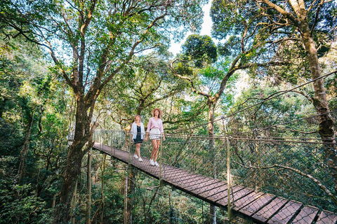 Aquaduck & Your Choice Of Gold Coast Rainforest Tour - Accommodation Gold Coast 4