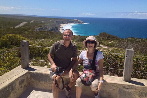 Kangaroo Island 4WD Tour - Best Of KI In 2 Days - Accommodation Gold Coast 2