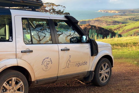 Kangaroo Island 4WD Tour - Best Of KI In 2 Days - Accommodation Gold Coast 4