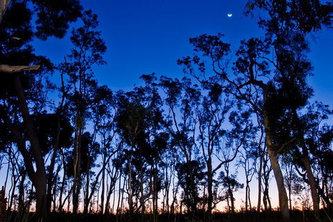 Small-Group Kangaroo Island 4WD Night Tour - Accommodation Gold Coast 2