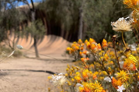 The Big Wave Rock (Private) Day Tour - Accommodation Gold Coast 3