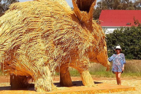 The Big Wave Rock (Private) Day Tour - Accommodation Gold Coast 5