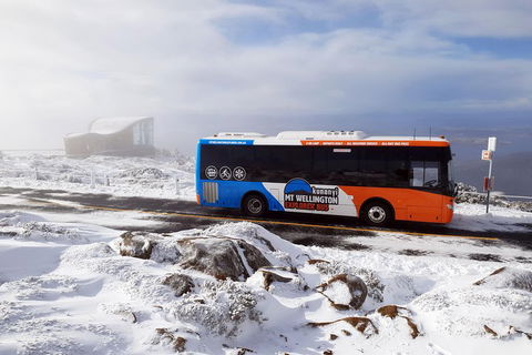 Kunanyi/Mt Wellington Tour & Hobart Hop-On Hop-Off Bus - Accommodation Gold Coast 2