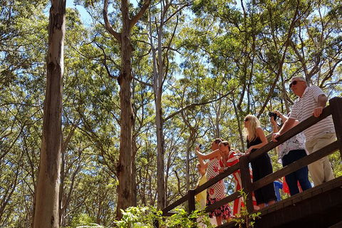 The All About Margaret River Tour: Wine, Coffee, Lunch And Forest - Accommodation Gold Coast 3