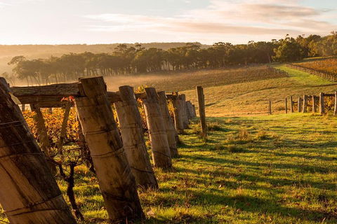 The All About Margaret River Tour: Wine, Coffee, Lunch And Forest - Accommodation Gold Coast 5