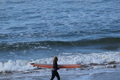 Private Day Tour Of Phillip Island Wildlife And Brighton Beach - Accommodation Gold Coast 0