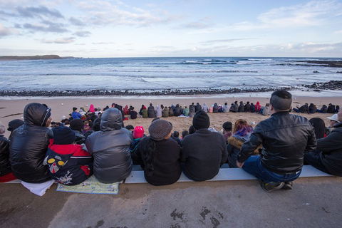 Private Day Tour Of Phillip Island Wildlife And Brighton Beach - Accommodation Gold Coast 1