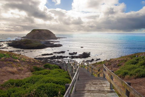 Private Day Tour Of Phillip Island Wildlife And Brighton Beach - Accommodation Gold Coast 4
