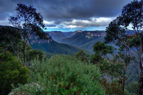 Ultimate Blue Mountains And Wildlife Tour - Accommodation Gold Coast 1