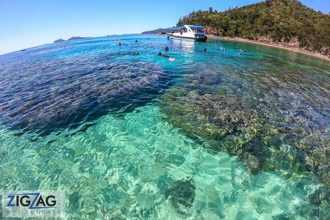 Whitehaven Beach Day Tour With Snorkel In Whitsundays Island - Accommodation Gold Coast 5