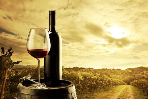 Barossa Valley Cellar Doors Luxury Wine Tour - Accommodation Gold Coast 0