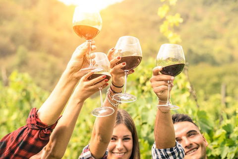 Barossa Valley Cellar Doors Luxury Wine Tour - Accommodation Gold Coast 1