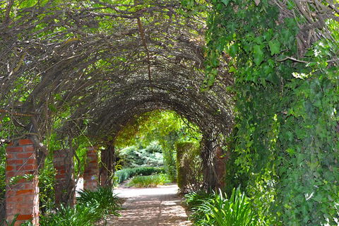 Barossa Valley Cellar Doors Luxury Wine Tour - Accommodation Gold Coast 3