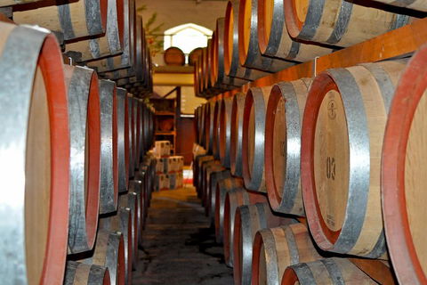 Barossa Valley Cellar Doors Luxury Wine Tour - Accommodation Gold Coast 5
