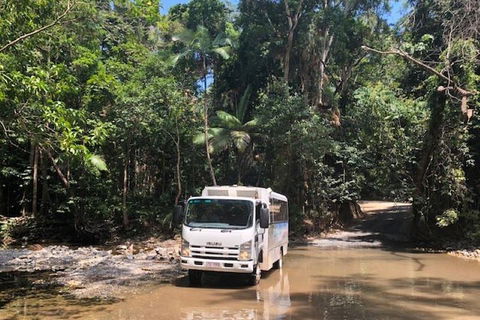 Cairns To Cooktown 4WD Tour - Accommodation Gold Coast 5