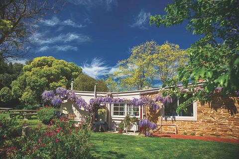 McLaren Vale Winery Small Group Tour With Wine Tasting And Lunch - Accommodation Gold Coast 2