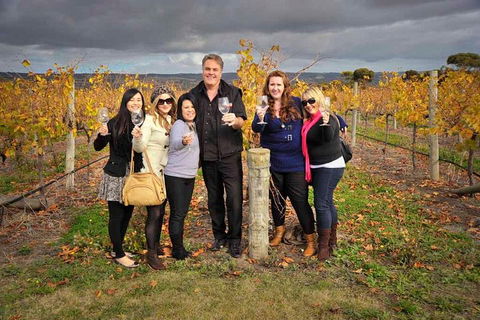 McLaren Vale Winery Small Group Tour With Wine Tasting And Lunch - Accommodation Gold Coast 3