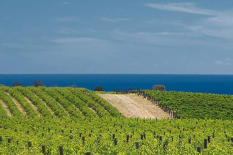 McLaren Vale Winery Small Group Tour With Wine Tasting And Lunch - Accommodation Gold Coast 4