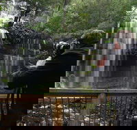 Mt Field and Styx Valley Photography Tour - Accommodation Gold Coast