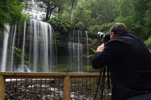 Mt Field And Styx Valley Photography Tour - Accommodation Gold Coast 0