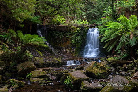 Mt Field And Styx Valley Photography Tour - Accommodation Gold Coast 3