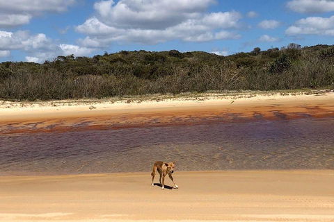 Pippies 3 Days 2 Nights Fraser Island Tour - Accommodation Gold Coast 2