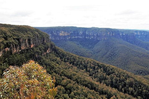 Blue Mountains - Accommodation Gold Coast 3