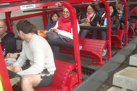 Full-Day Private Blue Mountains Tour With River Cruise - Accommodation Gold Coast 0