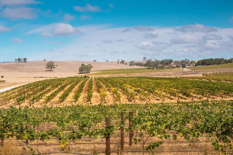 Barossa Valley Private Tour (from 2 To 11 People) - Accommodation Gold Coast 2