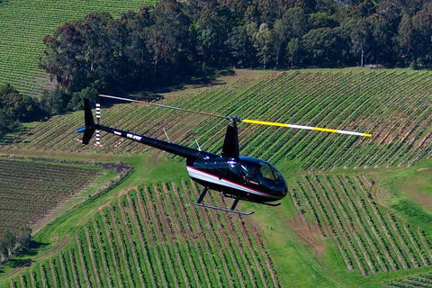 Hunter Valley Wine Country Helicopter Flight From Cessnock - Accommodation Gold Coast 3