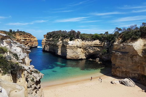 Helicopter Flight + Fine Dining Private Luxury Great Ocean Road Tour - Accommodation Gold Coast 1
