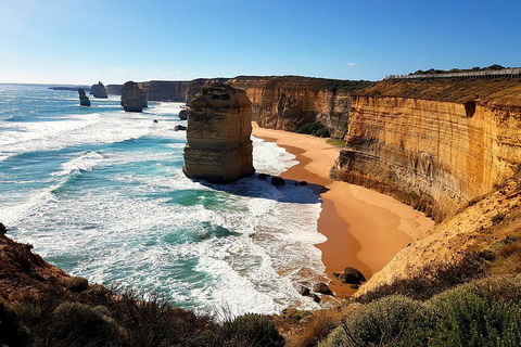 Helicopter Flight + Fine Dining Private Luxury Great Ocean Road Tour - Accommodation Gold Coast 4
