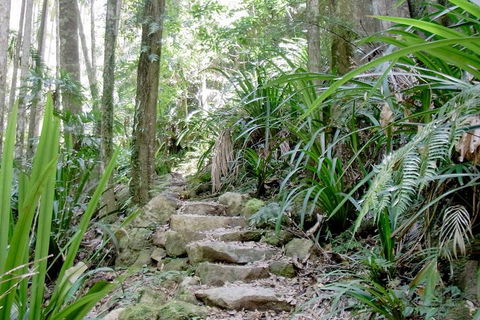 Byron Bay Combo: Minyon Falls And Hinterland Day Trip And Learn To Surf At Byron Bay - Accommodation Gold Coast 3