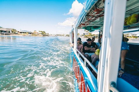 Aquaduck Sunshine Coast - Accommodation Gold Coast 5