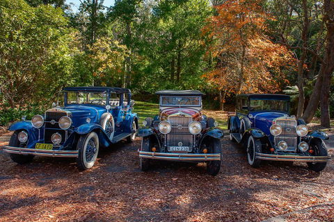 Blue Mountains Vintage Cadillac Tour With Local Guide - Accommodation Gold Coast 4