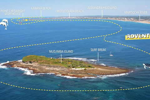 1.5HR Mudjimba Island Wildlife Safari - Accommodation Gold Coast 1