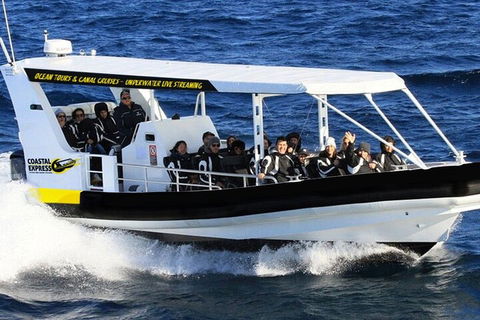 1.5HR Mudjimba Island Wildlife Safari - Accommodation Gold Coast 2
