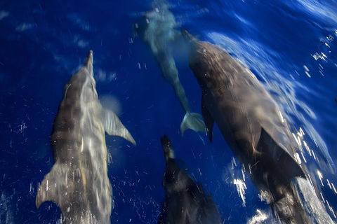 1.5HR Mudjimba Island Wildlife Safari - Accommodation Gold Coast 3