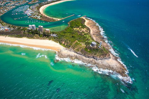 1.5HR Mudjimba Island Wildlife Safari - Accommodation Gold Coast 5