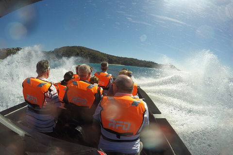 Noosa Thriller - 500hp Ocean Adventure Ride - Accommodation Gold Coast 3