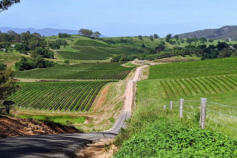 The Complete Hunter Valley Wine Tour Of Pokolbin, Mt View, Lovedale And Rothbury - Accommodation Gold Coast 0