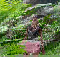 Full-Day Guided Hinterland Adventure Tour in Queensland - Accommodation Gold Coast
