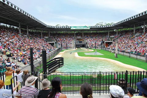 Croc Express To Australia Zoo From Brisbane - Accommodation Gold Coast 2