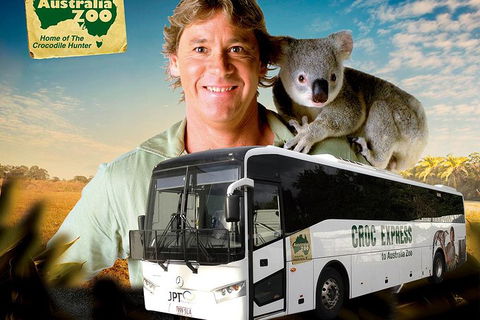Croc Express To Australia Zoo From Brisbane - Accommodation Gold Coast 4