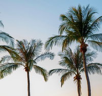 Darwin City Sightseeing Tour - Accommodation Gold Coast